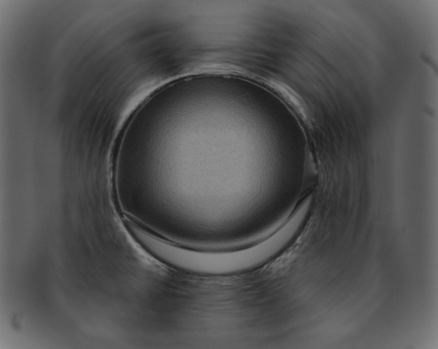 X0000091851430200709261159