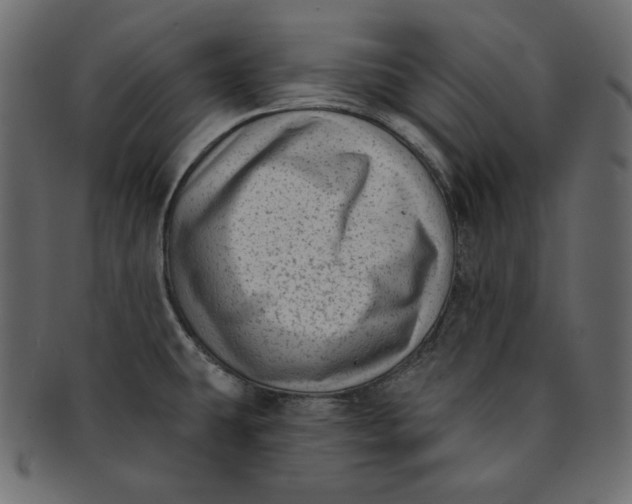 X0000091851431200709261159