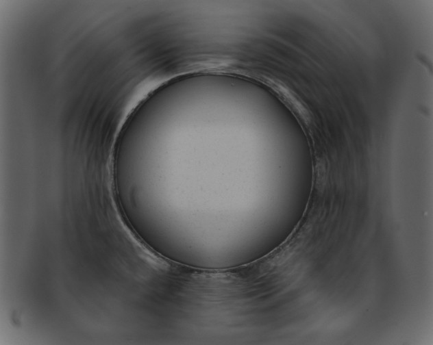 X0000091851432200709261159