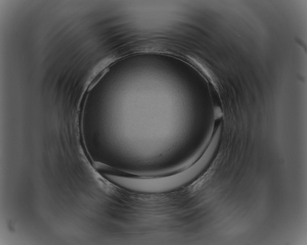 X0000091851434200709261159