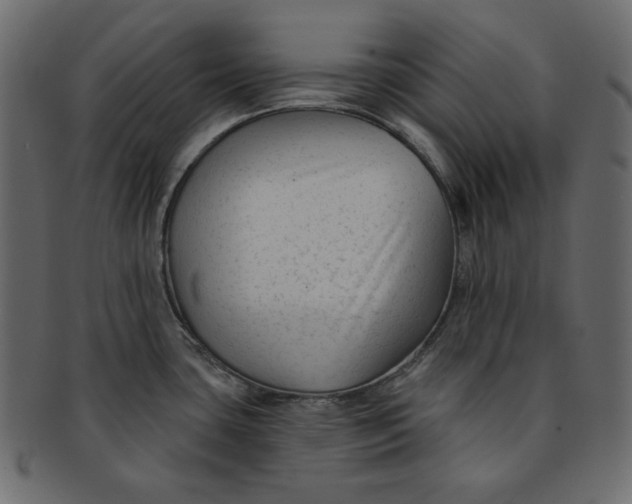 X0000091851435200709261159