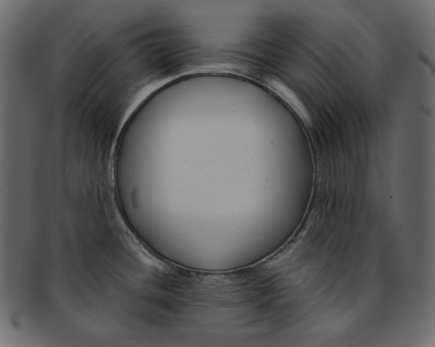 X0000091851436200709261159