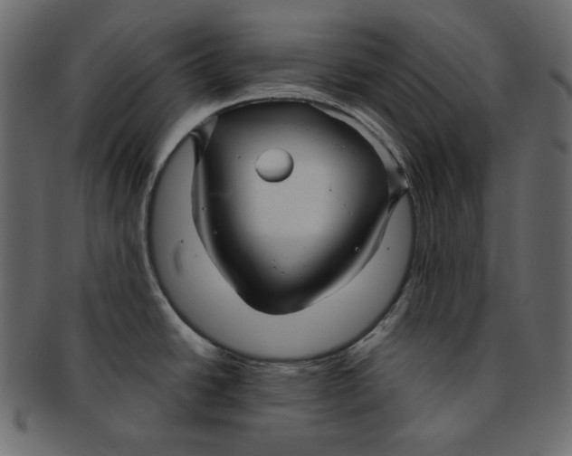 X0000091851438200709261159