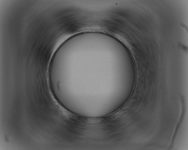 X0000091851440200709261159