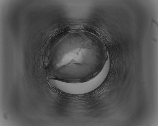 X0000091851441200709261158