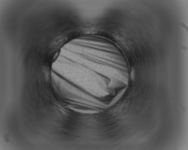 X0000091851444200709261158