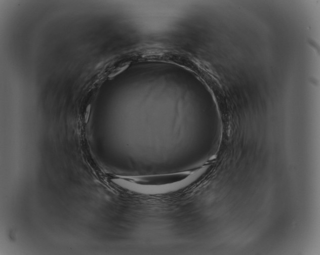 X0000091851445200709261158