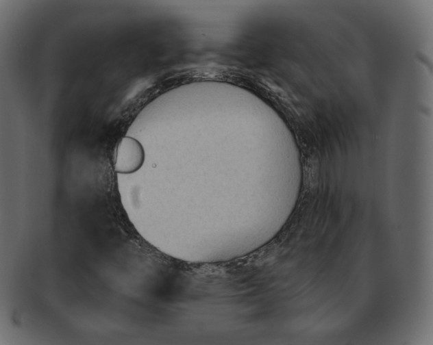 X0000091851446200709261158