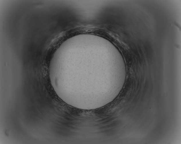 X0000091851447200709261158