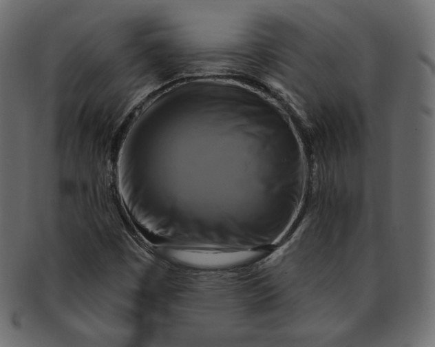 X0000091851449200709261158