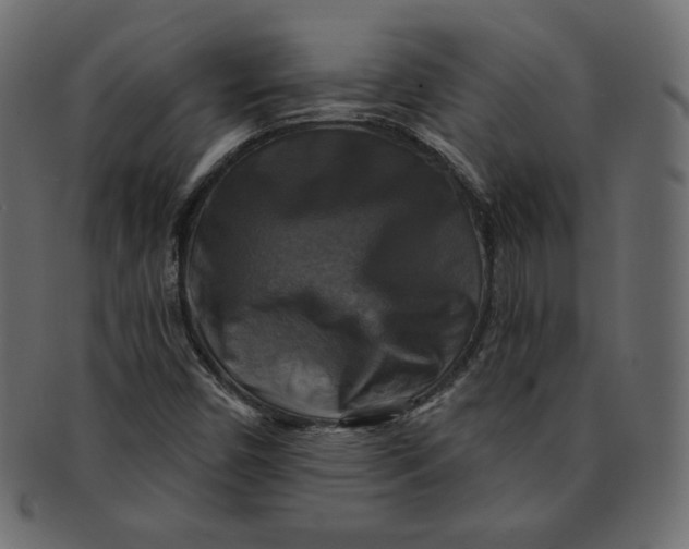 X0000091851450200709261158