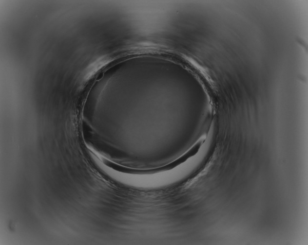 X0000091851453200709261158