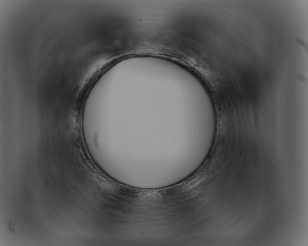 X0000091851454200709261158