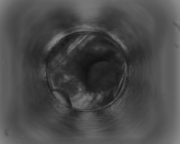 X0000091851455200709261158