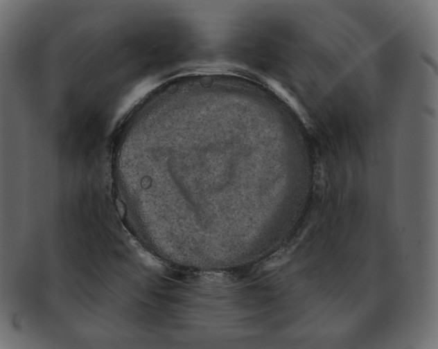 X0000091851456200709261158