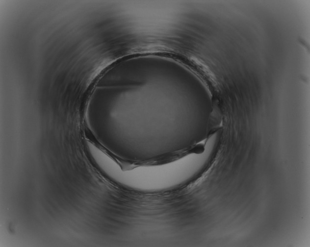 X0000091851457200709261158