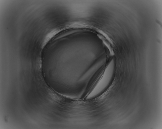 X0000091851461200709261158