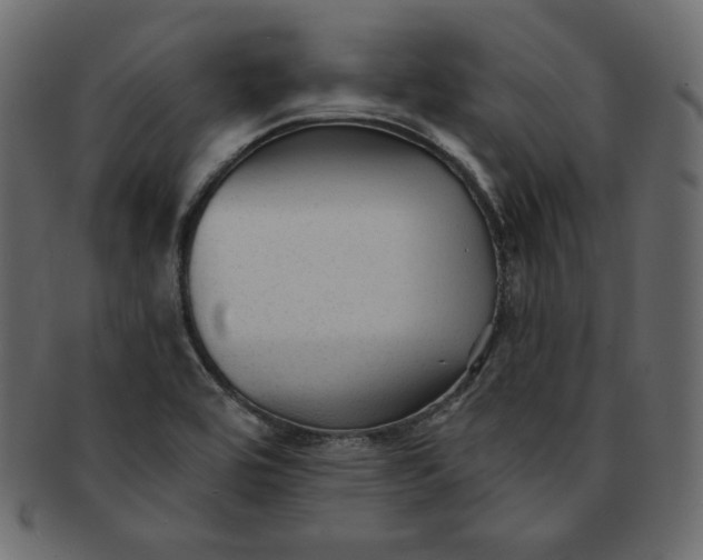 X0000091851464200709261158