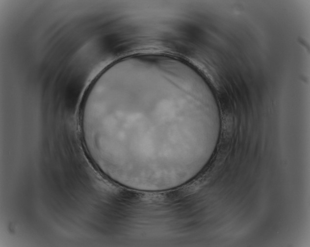 X0000091851466200709261158