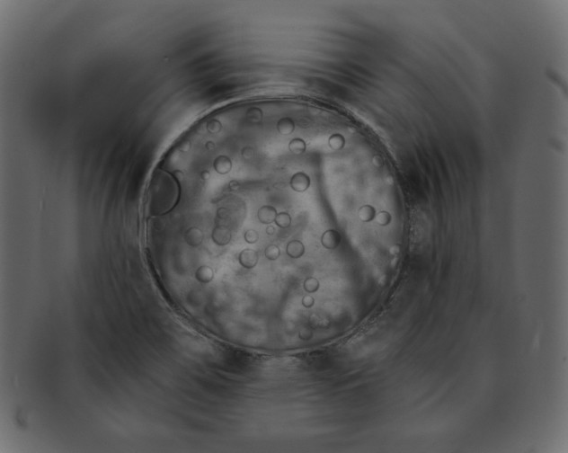 X0000091851467200709261158