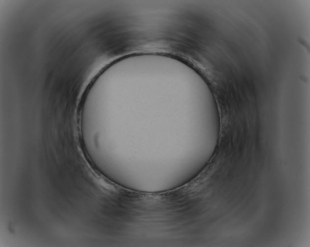 X0000091851470200709261158