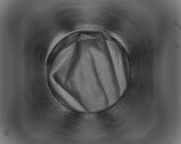 X0000091851472200709261158