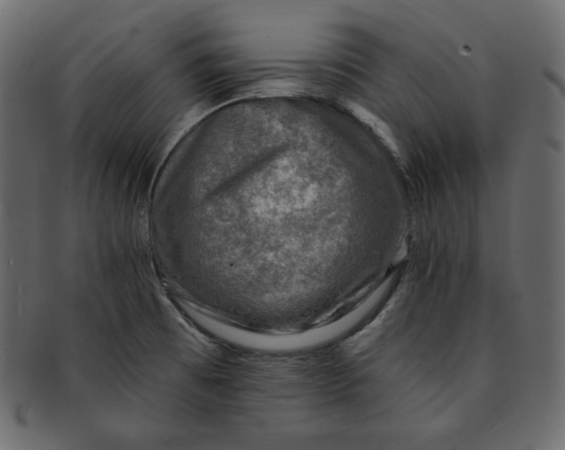 X0000091851473200709261158