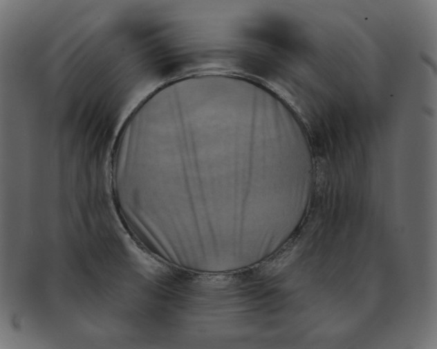 X0000091851474200709261158