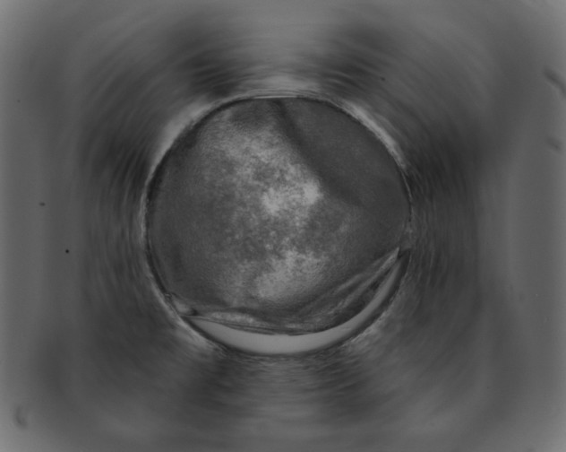 X0000091851477200709261158