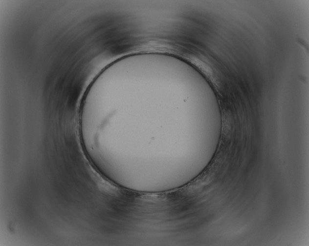 X0000091851478200709261158