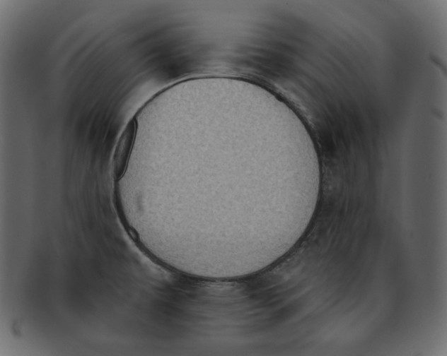 X0000091851479200709261158