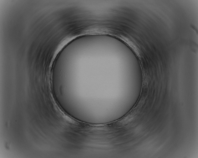 X0000091851486200709261158