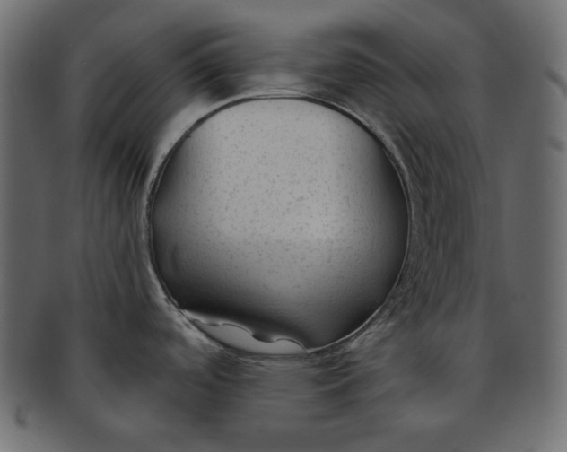 X0000091851488200709261158