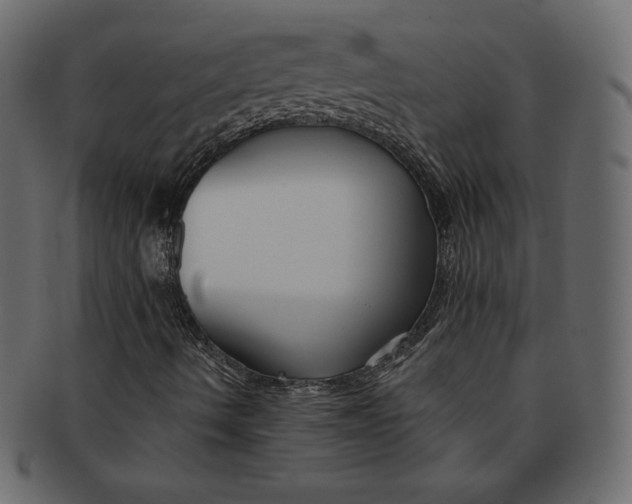 X0000091851490200709261157