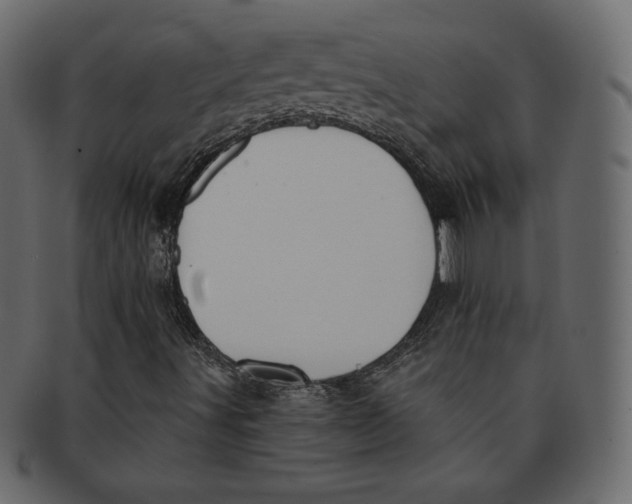 X0000091851491200709261157