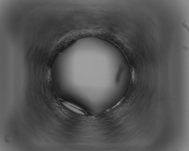 X0000091851492200709261157