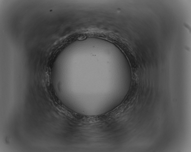 X0000091851493200709261157