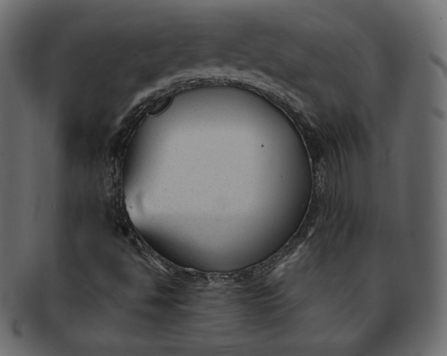 X0000091851494200709261157