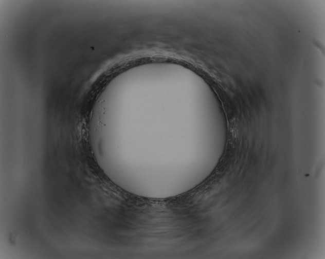 X0000091851495200709261157