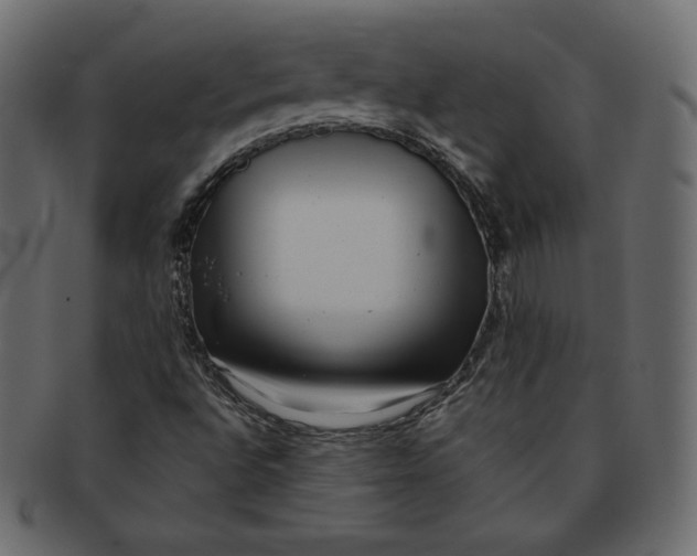 X0000091851496200709261157