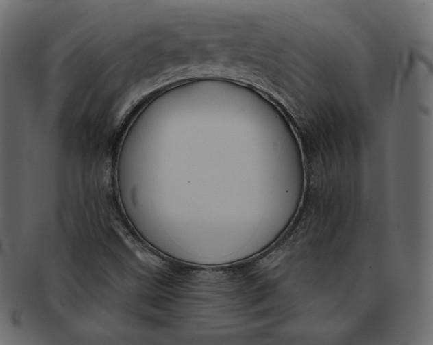 X0000091851499200709261157