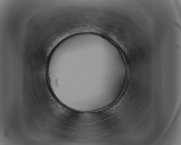 X0000091851500200709261157