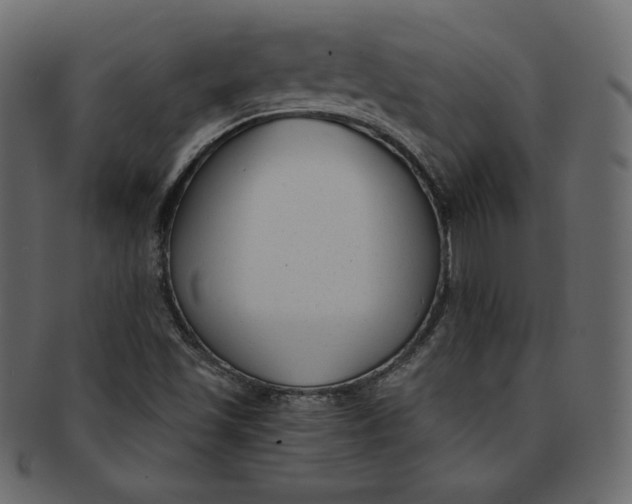 X0000091851501200709261157