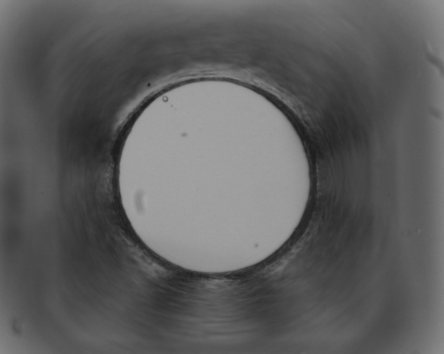 X0000091851502200709261157