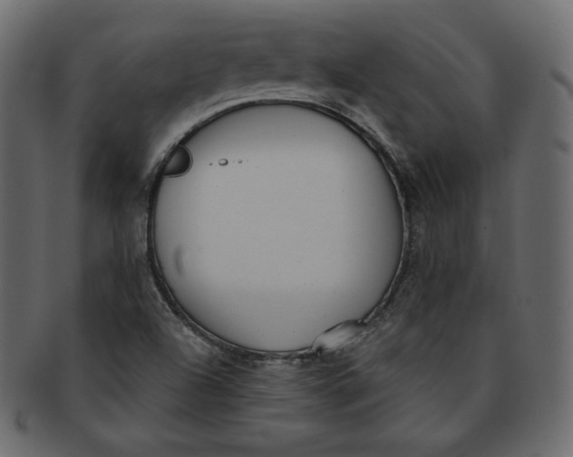 X0000091851504200709261157