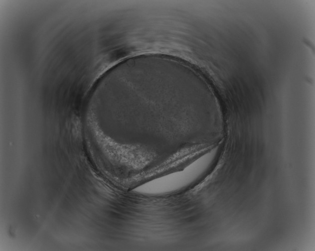 X0000091851505200709261157