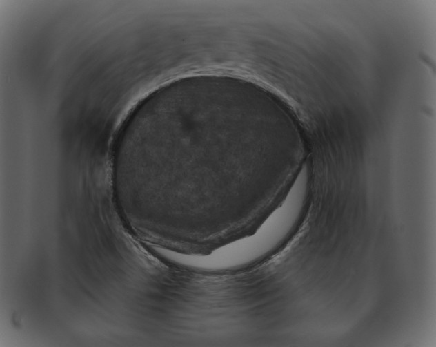 X0000091851506200709261157