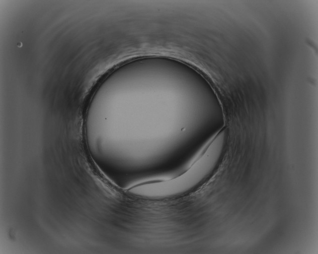 X0000091851507200709261157