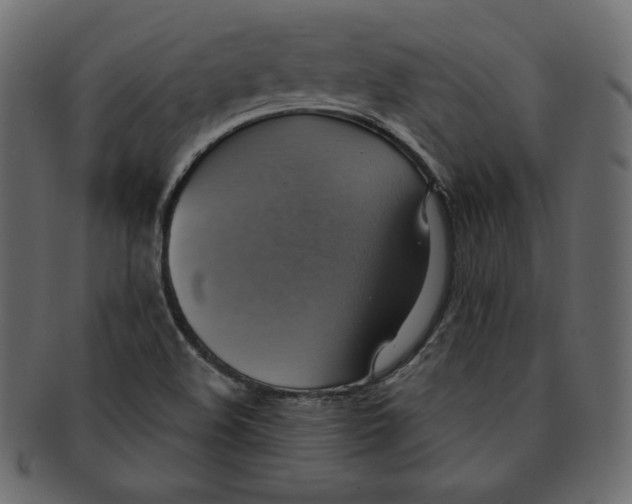 X0000091851508200709261157