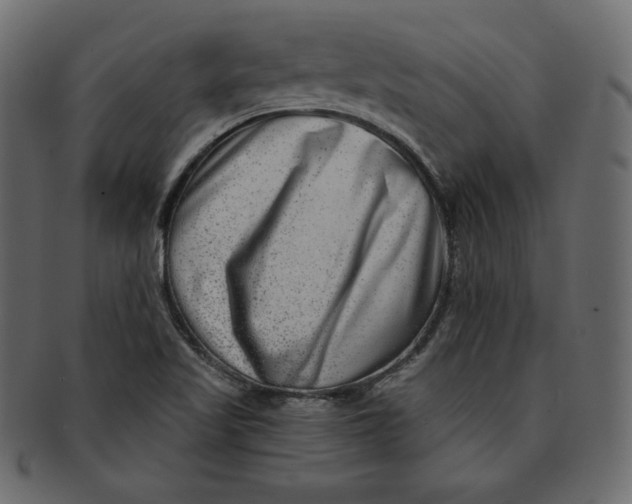 X0000091851509200709261157